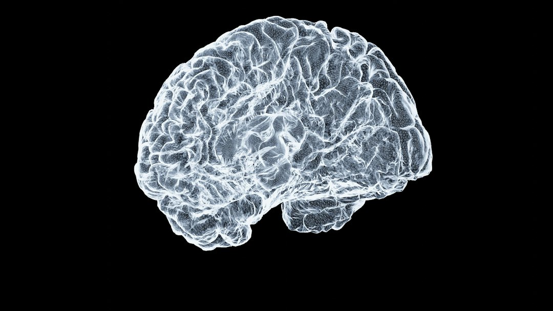 Close-up of a human brain representing cognitive health